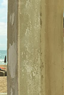 Orsolya Török-Illyés - 