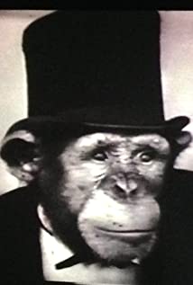 Richard Abramowitz - 